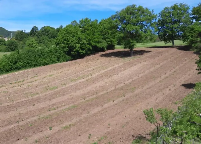 Apartamento Terrazza Sul Cielo Bella