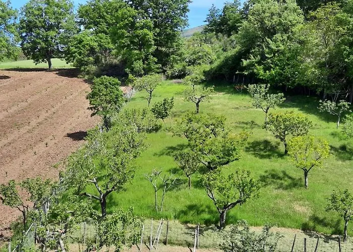 Apartamento Terrazza Sul Cielo *